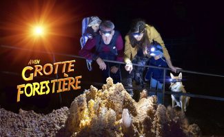 Grotte Forestière. "Visitez Autrement"