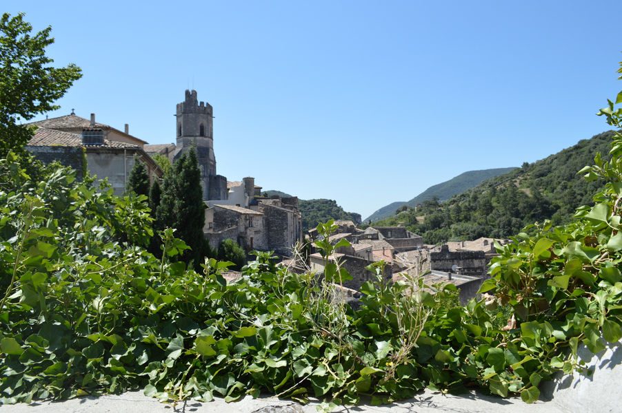 Journées Européennes du Patrimoine : visite guidée de Viviers