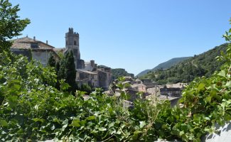 Journées Européennes du Patrimoine : visite guidée de Viviers