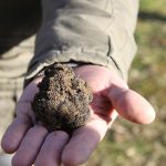 Saveurs de truffes et Vins d'Ardèche au Domaine du Père Léon