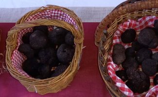 Marché de la truffe d’hiver