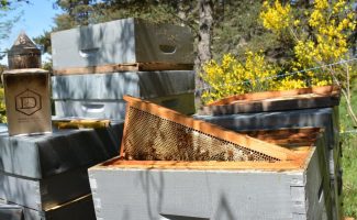 La Ferme des Abeilles