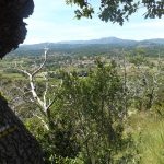 © Vue sur le Tanargue depuis le plateau des Gras - oit vdl