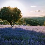 Escapade nature en Ardèche