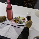 Atelier parents/enfants : "Apprendre à faire son vin !"