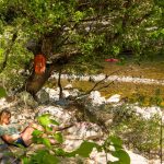 Séjour sans voiture : les Gorges de l’Ardèche rive droite, le chic au naturel