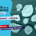 Conférence : La ligne de partage des eaux