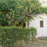 © CAMPING LE COIN CHARMANT Tithome - CAMPING LE COIN CHARMANT Tithome