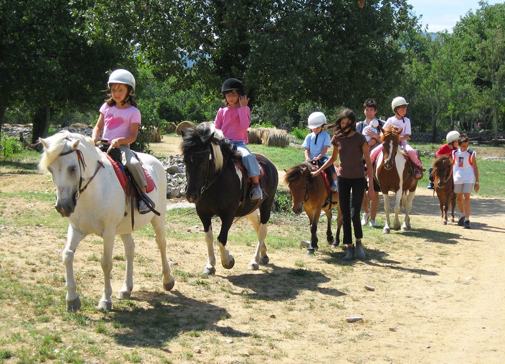 Balades à poneys et stages poneys à thème