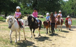 Balades à poneys et stages poneys à thème