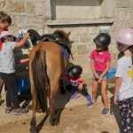 © Balades à poneys et stages poneys à thème - Talagrand