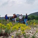 © Sorties accompagnées en trottinettes électriques tout terrain - Josée Grégoire