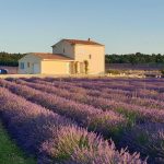 © Gîte des Lavandes - Gîtes de France