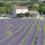 © Gîte des Lavandes - Gîtes de France