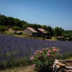 © Le chêne - Village de gîtes Le Serre de Pierre - Gîtes de France