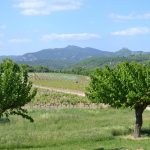 © L'Amandier - Gîtes de France