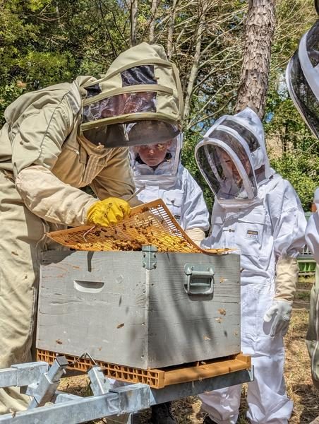 Le Baptême d'Apiculture