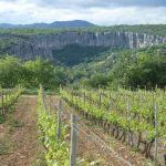 © Domaine de Chardiris - Les Romarins - Gîtes de France