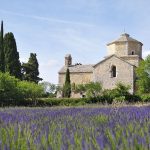 © Eglise-Saint-Pierre-Larnas - ©Oti Draga