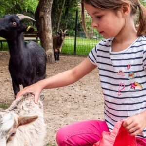 Parcs animaliers Ardèche ©Marina Geray