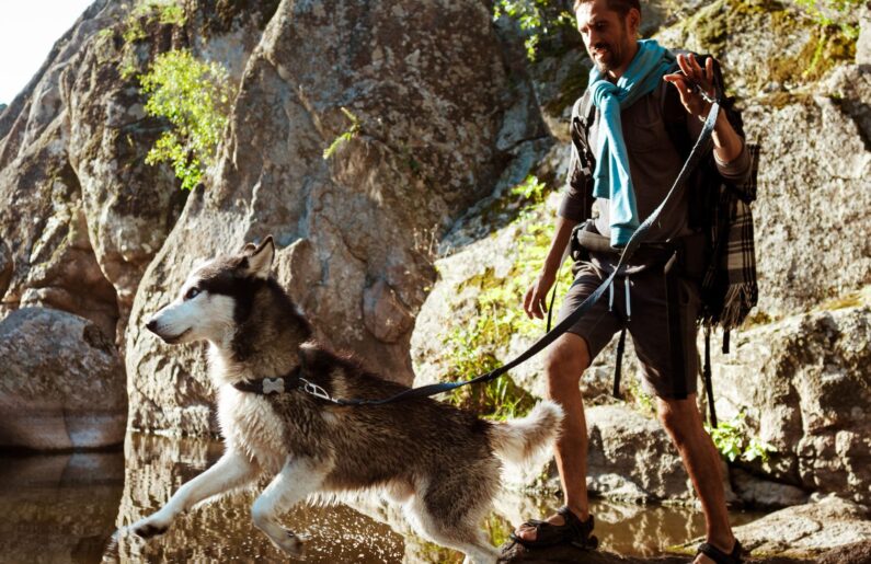 Randonnée en Ardèche avec un chien