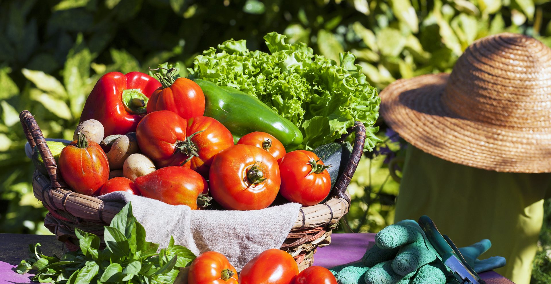 Fete-Agriculture-Ardeche