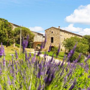 Domaine-de-lAstic-Ardèche-©Mon-Oeil-3