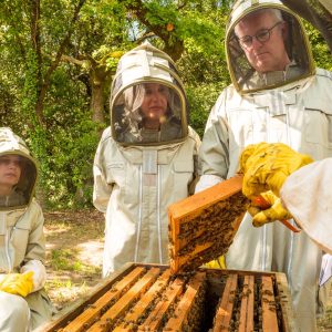 Bapteme Apiculture Ardèche ©Marina Geray_web